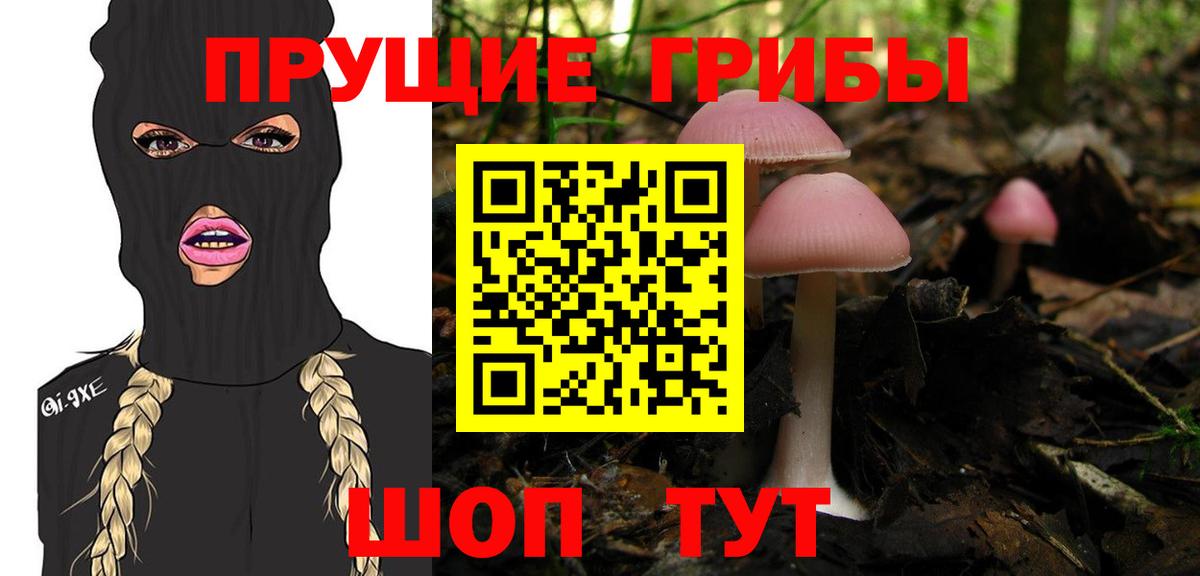 Галлюциногенные грибы мухоморы Луховицы