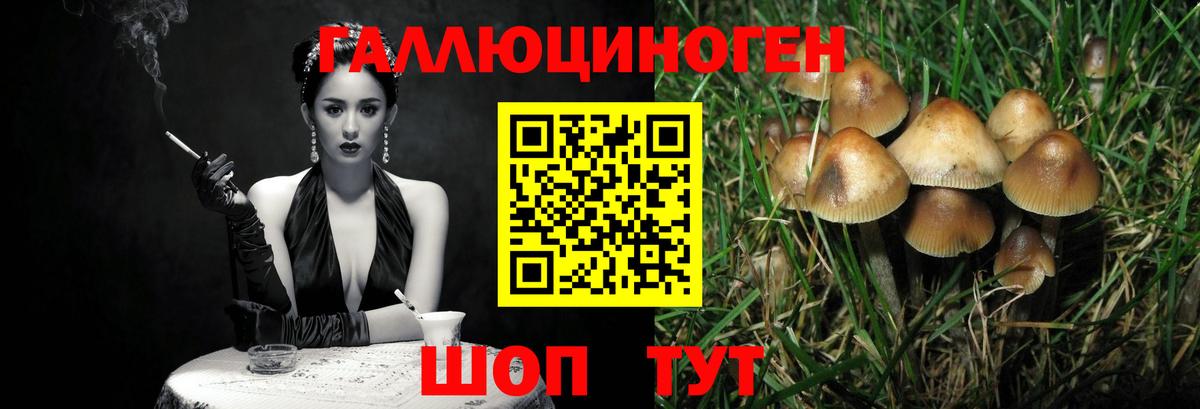 Галлюциногенные грибы прущие грибы  Псилоцибиновые грибы мухоморы  Луховицы  Вход с VPN 